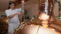pivovar novosad Sladek